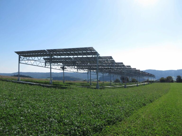 The APV pilot plant located in Heggelbach near lake Constance couples the production of electricity and food crops