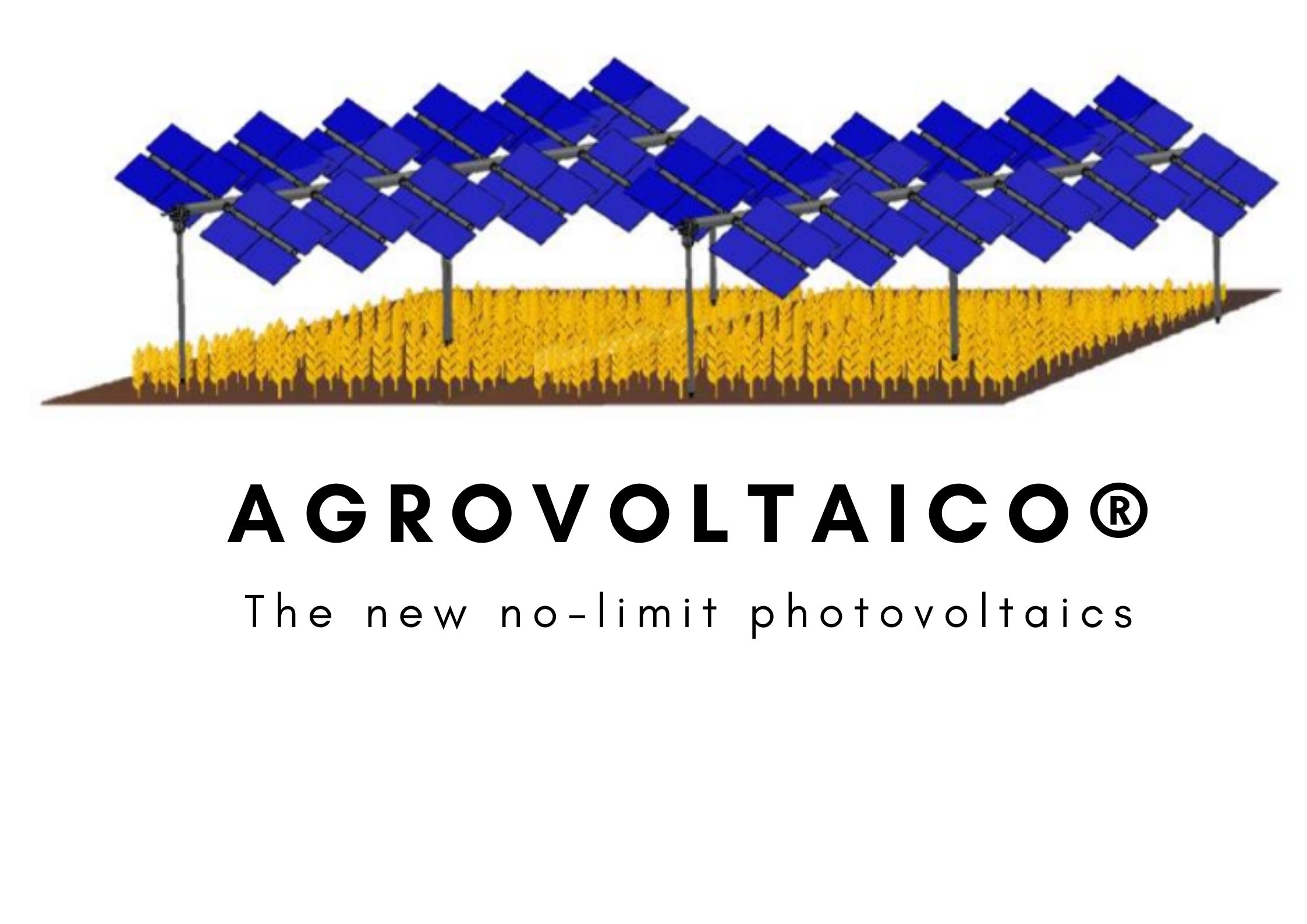 Agrovoltaico®