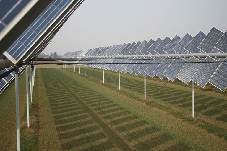 Agrovoltaico plant