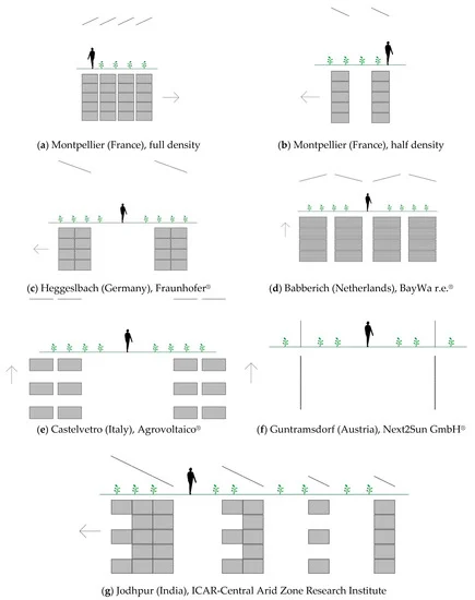 Different pattern solutions currently implemented or under investigation in open-field type APV systems. In the figures, the arrow is pointed north. The different solutions have an influence on irradiance and connectivity,