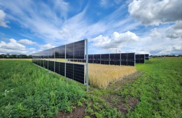 Optimal PV setup for agrivoltaics