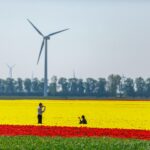 Two people playing in a flowery field with wind turbines in the back