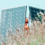 Solar panel located among tall grass