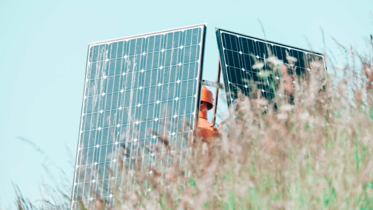 Solar panel located among tall grass