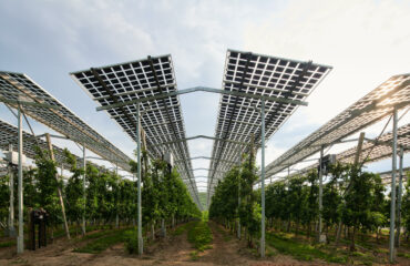 A photo os an Agri-PV plant