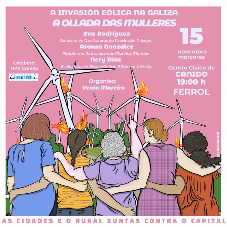 Spanish poster calling locals in for protesting against renewable energy projects that local believe hurt local wildlife and ecosystems.